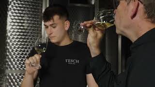 SOMMER 2023 III / Johannes Tesch / Tesch Riesling - Langenlonsheim, Nahe - Deutschland, Germany