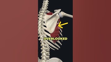 The Hidden Muscle Causing Your Winging Scapula