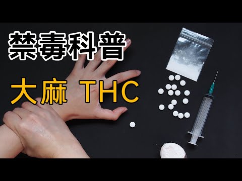 【禁毒科普】第三集：毒品大麻 THC