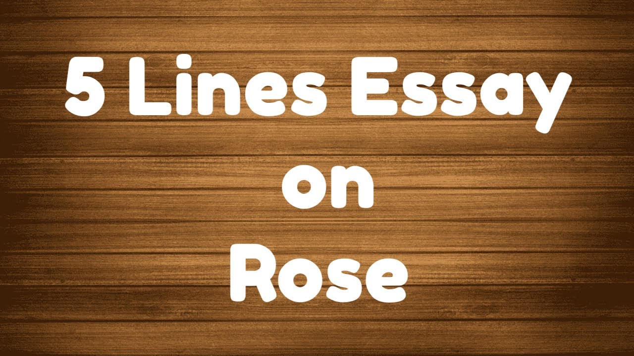 5 Lines on Rose in English 5 Lines Essay on Rose Short Essay on