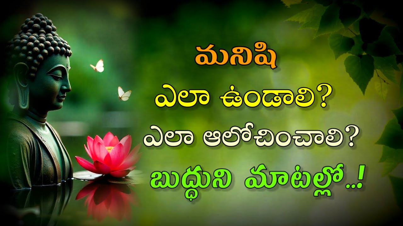 బుద్దుని జ్ఞాన మార్గం || Buddha Telugu Teachings || Manchi Matalu || Top Buddha Quotes in Telugu