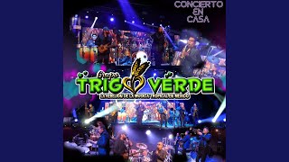 Video thumbnail of "Grupo Trigo Verde - Cumbia Juchiteca"