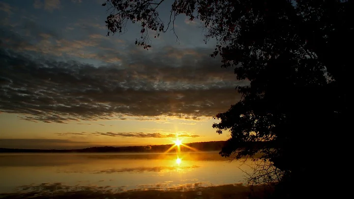 Minnesota Waters At Risk (short version)  - Aquatic Invasive Species