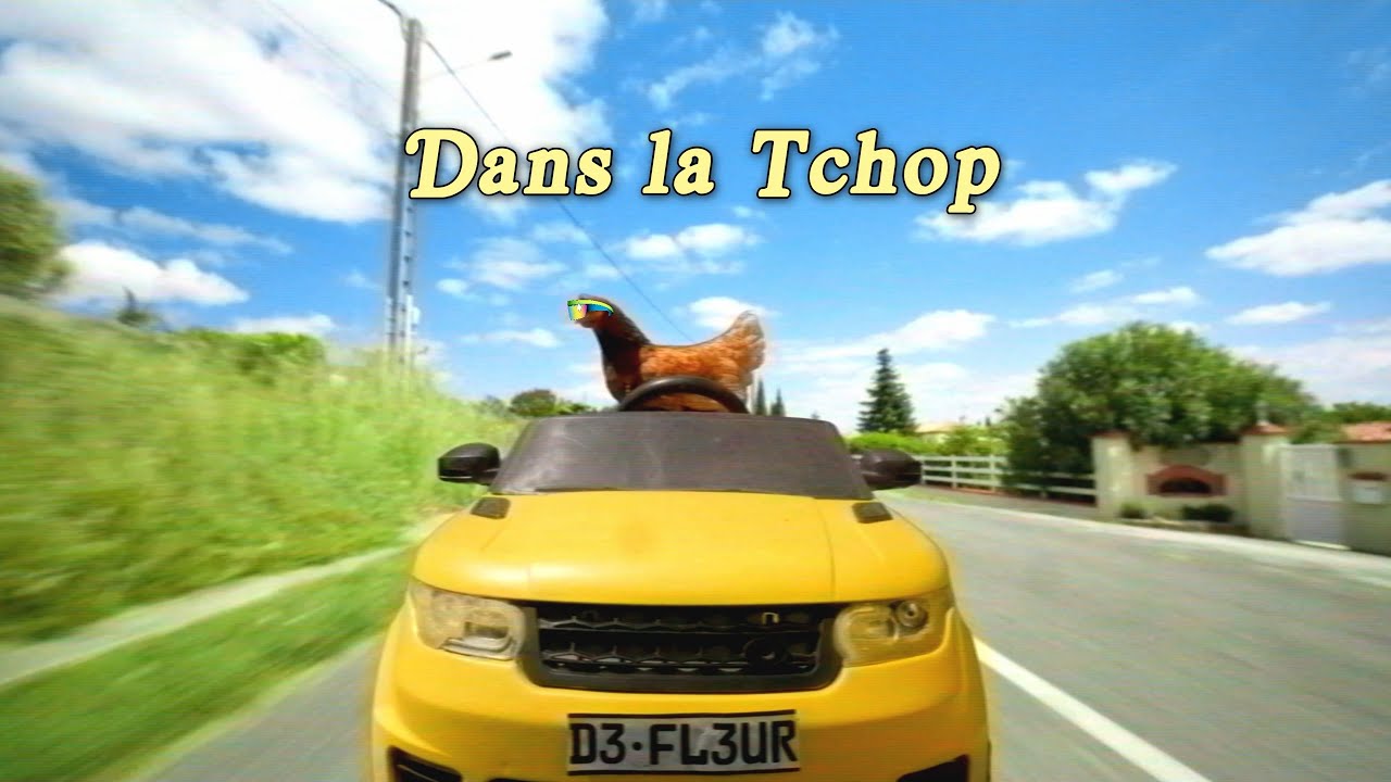 Watch De Fleur - Dans la Tchop on YouTube Watch De Fleur - Dans la Tchop on YouTube