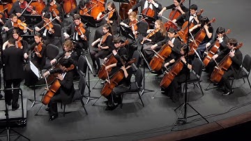 2018 Texas TPSMEA All-State Orchestra - Reinecke Serenade for Strings - I. Marcia