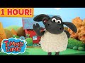 1 hour  timmy time compilation episode 116  preschool cartoon