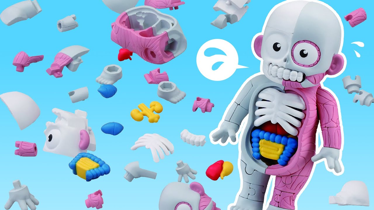 昭和レトロ 恐怖のバラバラ人体 ソフビ 人形 ホラー 駄玩具 人体模型