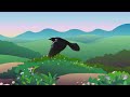 【秒懂百科】一分钟了解鹩哥