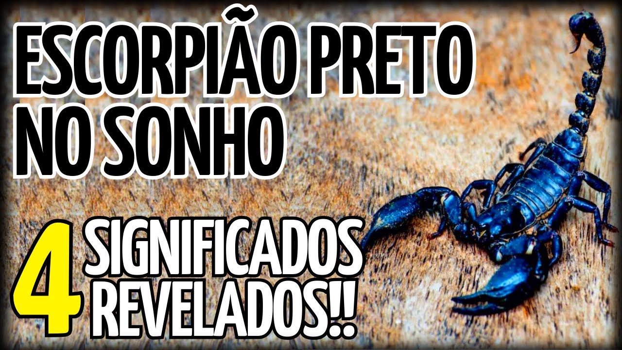 🚨ALERTA🚨 O QUE SIGNIFICA SONHAR COM ESCORPIÃO PRETO | SIGNIFICADO DE ...