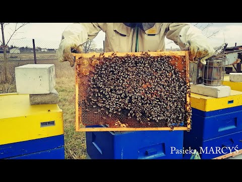 Wideo: Co oznacza nadmiar zapasów?