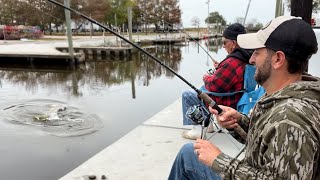 Catching GIANTS from a ROADSIDE Bayou (CATCH AND COOK)