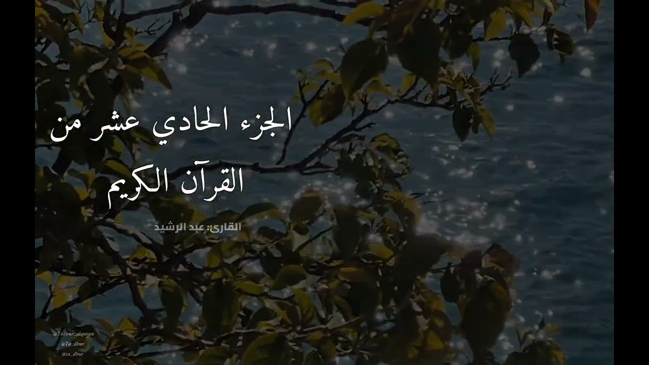 الجزء الحادي عشر من القرآن الكريم كامل | تلاوة عبد الرشيد برواية ابو الحارث عن الكسائي 