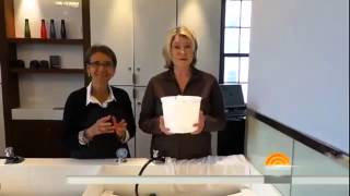 Martha Stewart takes Matt Lauer's 'ice bucket challenge,' calls out three stars