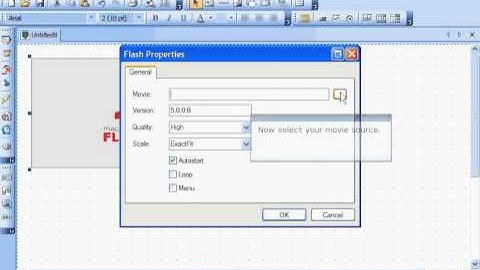 How to Add Flash to your Website using the BlueVoda Website Builder