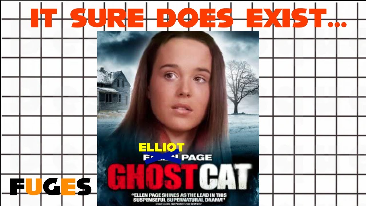 Gato refaz emblemática cena do filme Ghost e viraliza na web; assista