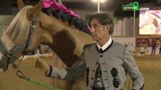 Espectáculo Ecuestre 'Magos de la Equitación', dentro de Una Pará en Gines 2019