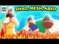 Gods story shadrach meshach and abednego