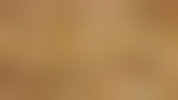 Ruger 10/22 Binary Trigger by Franklin Armory