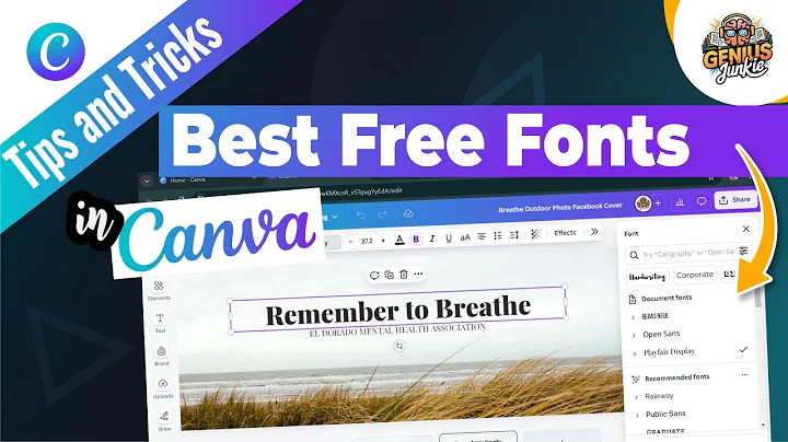 Top 10 Best Free Fonts in Canva for Stunning, Eye Catching Designs!