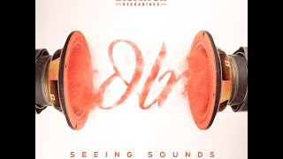 DLR - The Grip (ft. Ant TC1) - 'Seeing Sounds' Album