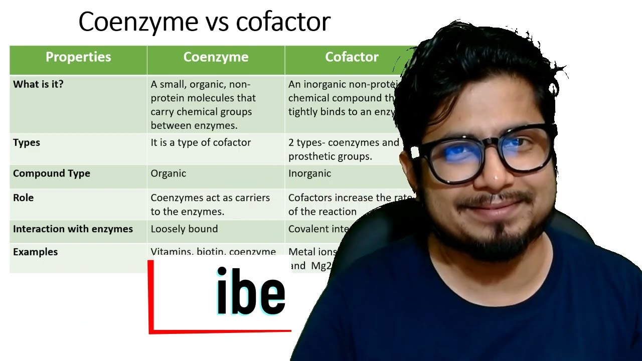 The Difference Between Coenzyme And Cofactor YouTube The Difference Between Coenzyme And Cofactor YouTube