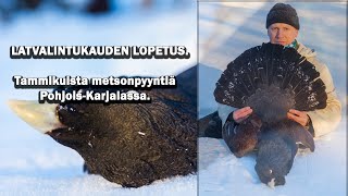 SE TULI NYT LOPPU! Tammikuista metsonpyyntiä Pohjois-Karjalassa.