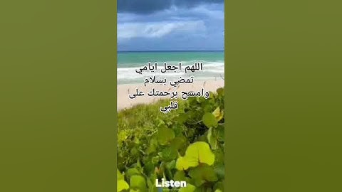 #ترند_تيك_توك #حالات_واتس_اب #راحة_نفسية #قران كريم#اكسبلور #لايك