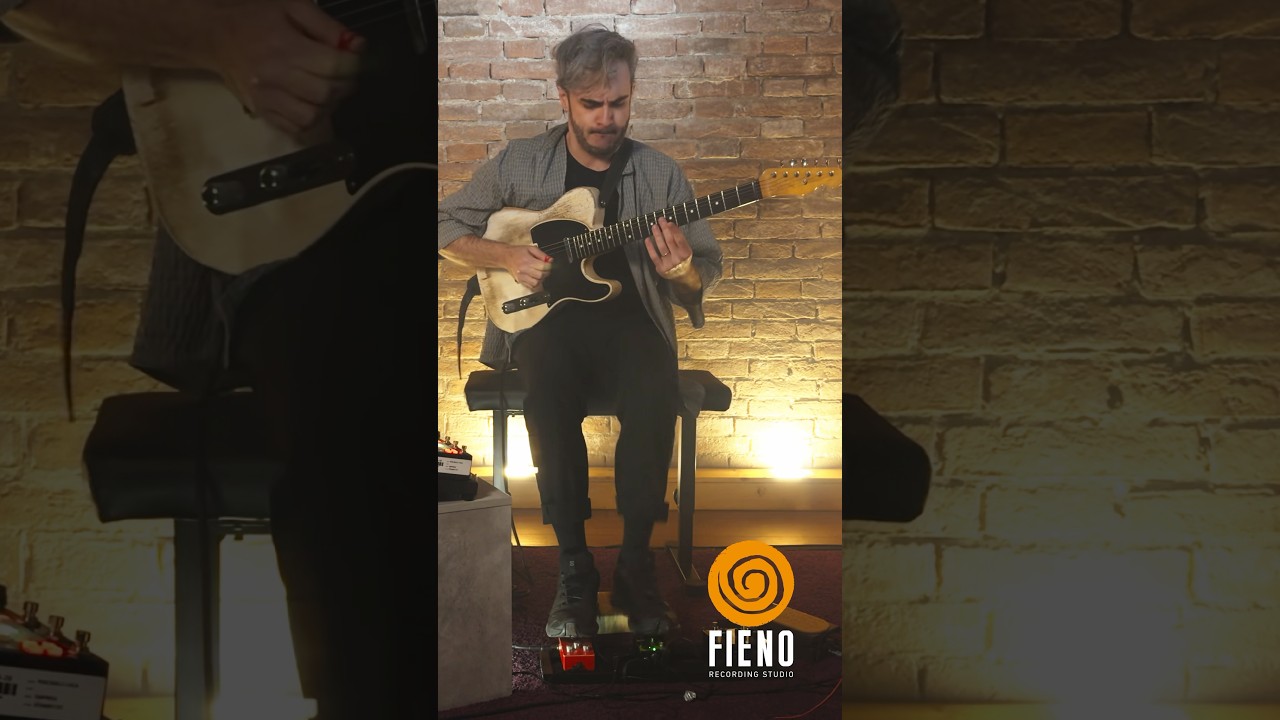 🟠 FIENO SOLO #4 