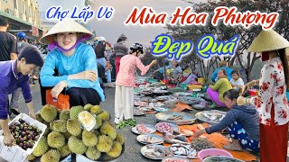 ĐẸP NGỠ NGÀNG MÙA HOA PHƯỢNG - BÀ CON CHỢ LẤP VÒ, ĐỒNG THÁP DỄ THƯƠNG VÔ CÙNG