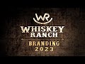 Whiskey ranch branding 2023