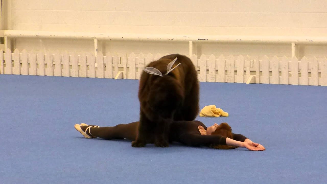 Marina Novoselova, World Championship 2014 Helsinki, the final