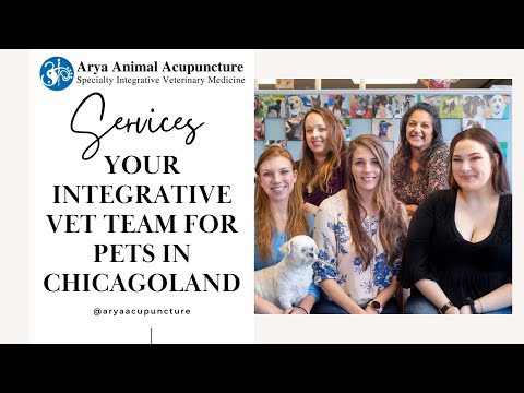 Arya Animal Acupuncture, Glenview IL - Top Integrative Veterinary Clinic in the Chicago Area