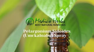 Pelargonium Sidoides Umckaloabo Spray from Medico Herbs