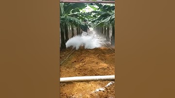 Applying Lime on Agriculture Field | It lowers Soil pH