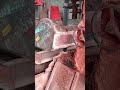 the process of splitting a tree with a saw mill #shorts