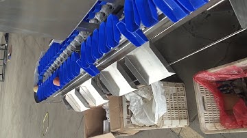 chicken feet weighing grading sorting machine, chicken feet grading machine