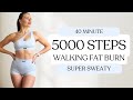 5000 steps walking fat burn workout no repeats  no jumping