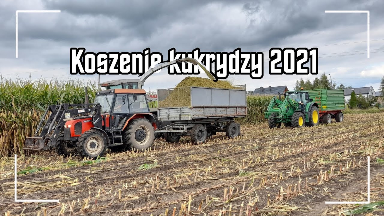 Wtopa Majora !! Koszenie kukurydzy 2021!! 2xzetor, 2x new holland, 2x john deere