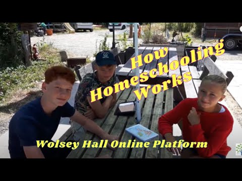 How Homeschooling Works With The Wolsey Hall Online Platform