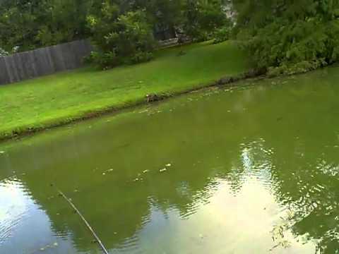 cast fail and get a fish!! - YouTube