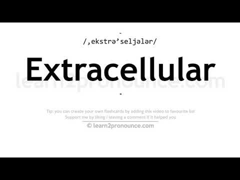 Pronunciation of Extracellular | Definition of Extracellular