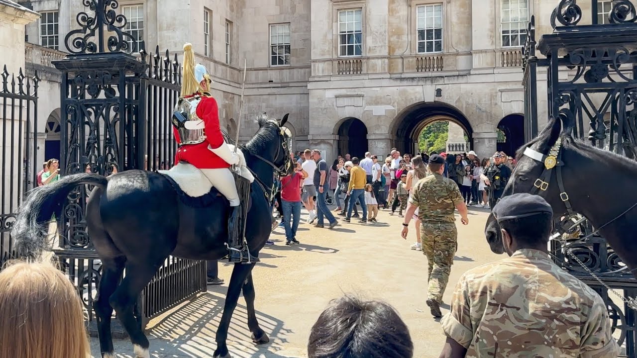 Serious *EMERGENCY*Horses Rushed Back Inside by the Military