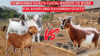 WHAT ARE THE BEST BREEDS OF GOATS TO START WITH IN AFRICA?