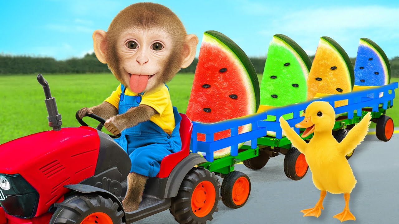 Monyet JUJU Drive Traktor Panen Rainbow Warna warni Bareng Bebek! //  Monkey JUJU Adventure