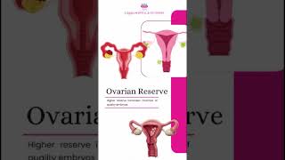 Healthy Embryos &amp; Personalized IVF Care | Trusted Fertility Hospital Bengaluru