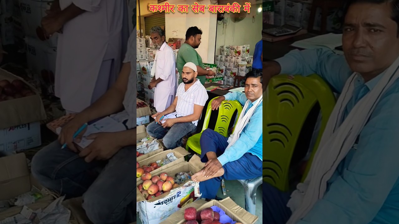 seb ka bhav 🍎 Apple rate today 🍎 kashmiri apple 🍏 