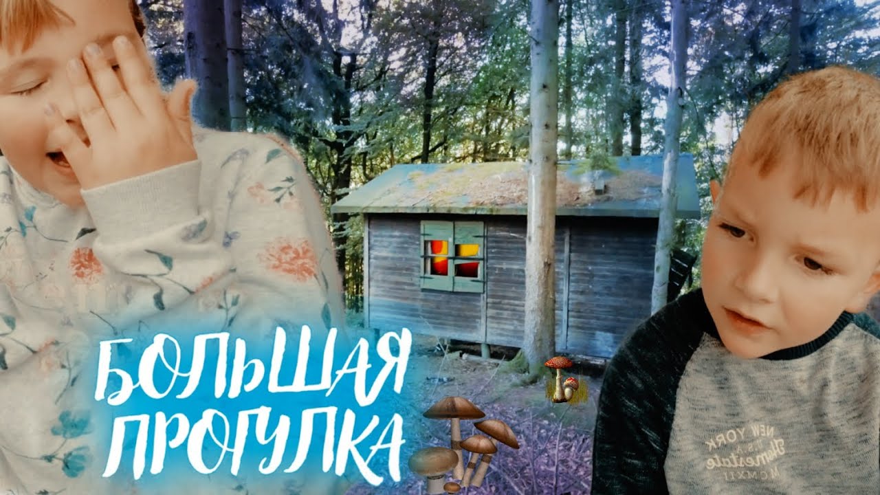 КАК МЫ СОБИРАЛИ ГРИБЫ / НАШЛИ ЗАБРОШЕННУЮ ИЗБУ # 1 - YouTube