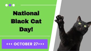 October 27 National Black Cat Day Fun Facts and How to Celebrate