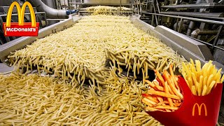 How Are McDonald&#39;s French Fries Are Actually Made | Food Processing Factory