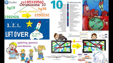 Liftover to Map Genomic Coordinates Between Genome Builds with Rtracklayer Bioconductor Package
